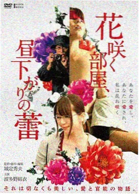 七武士海报